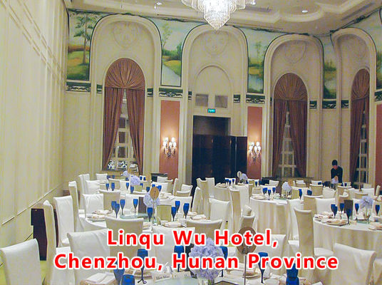 ভালো দাম Aluminum Wooden Movable Partition Wall with 304 Stainless Steel Rollers and 6061-T6 Profile for Office Room অনলাইন